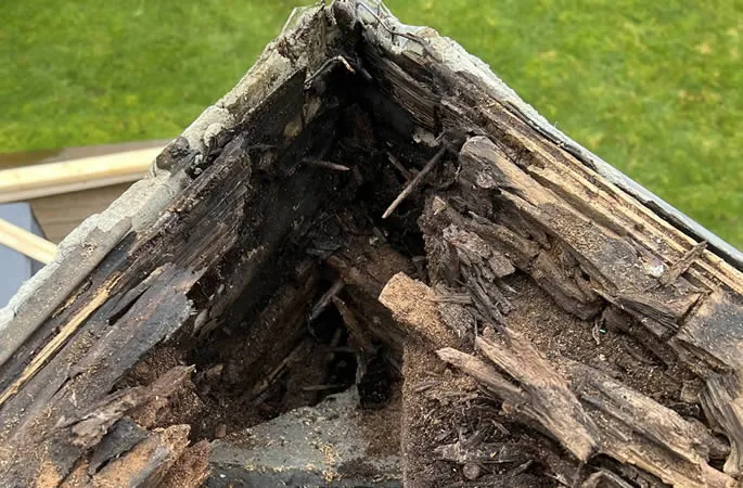 Deck Rot & Moisture Assessment in Vancouver